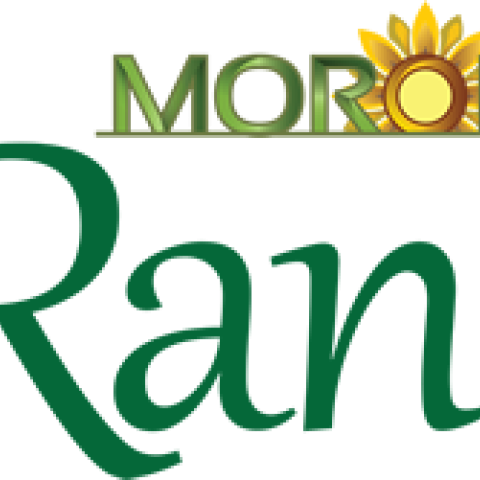 Moroil Rani